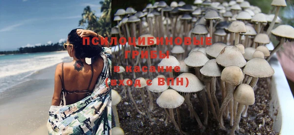 бошки Алексин