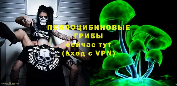 молекула духа Алексеевка