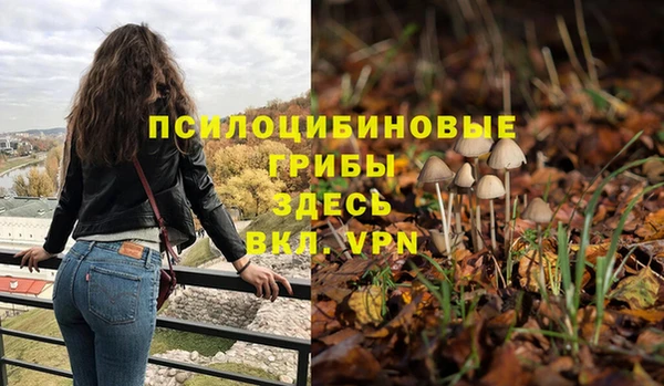 прущая мука Семилуки
