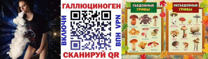 Псилоцибиновые грибы Psilocybe  наркошоп  Богучар 